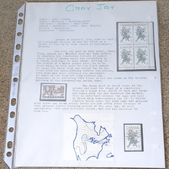 Gray Jay Canada Stamps Collection - Picture 1 of 4